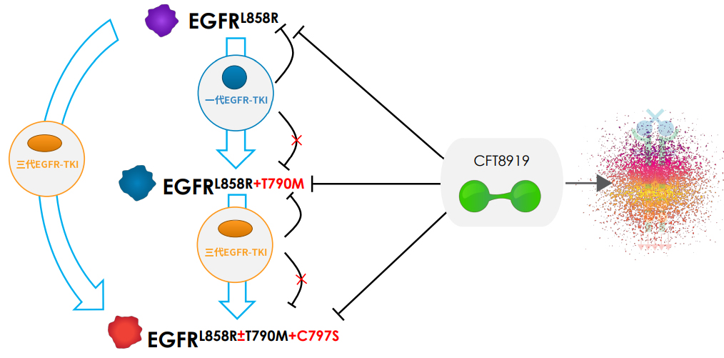 1689558643158815.jpg 微信图片_20230717095025.jpg