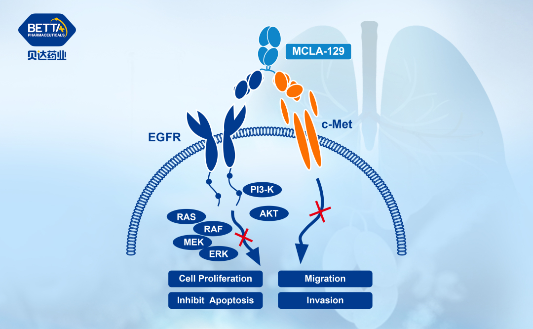 1689558795360421.jpg 微信图片_20230717095246.jpg