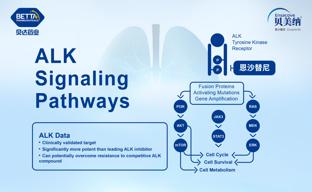 1694398540283013.jpg 微信图片_20230911101518.jpg